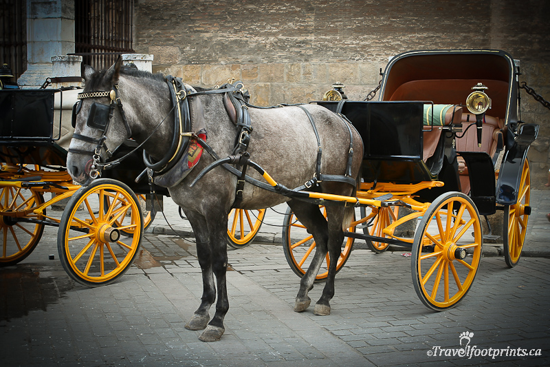 Horse drawn carriage tour around Seville - Seville Traveller